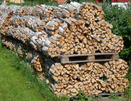Storing firewood on pallets